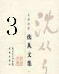 沈从文集3