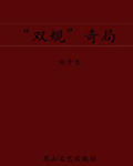 《双规奇局》